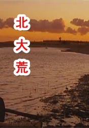 和江南表姐的同居